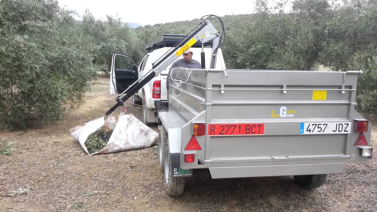 Cargando aceituna con remolque grua