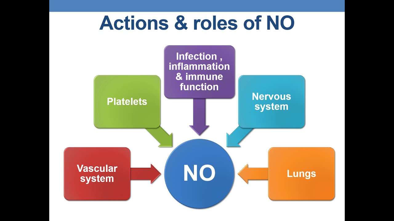 NITRIC OXIDE