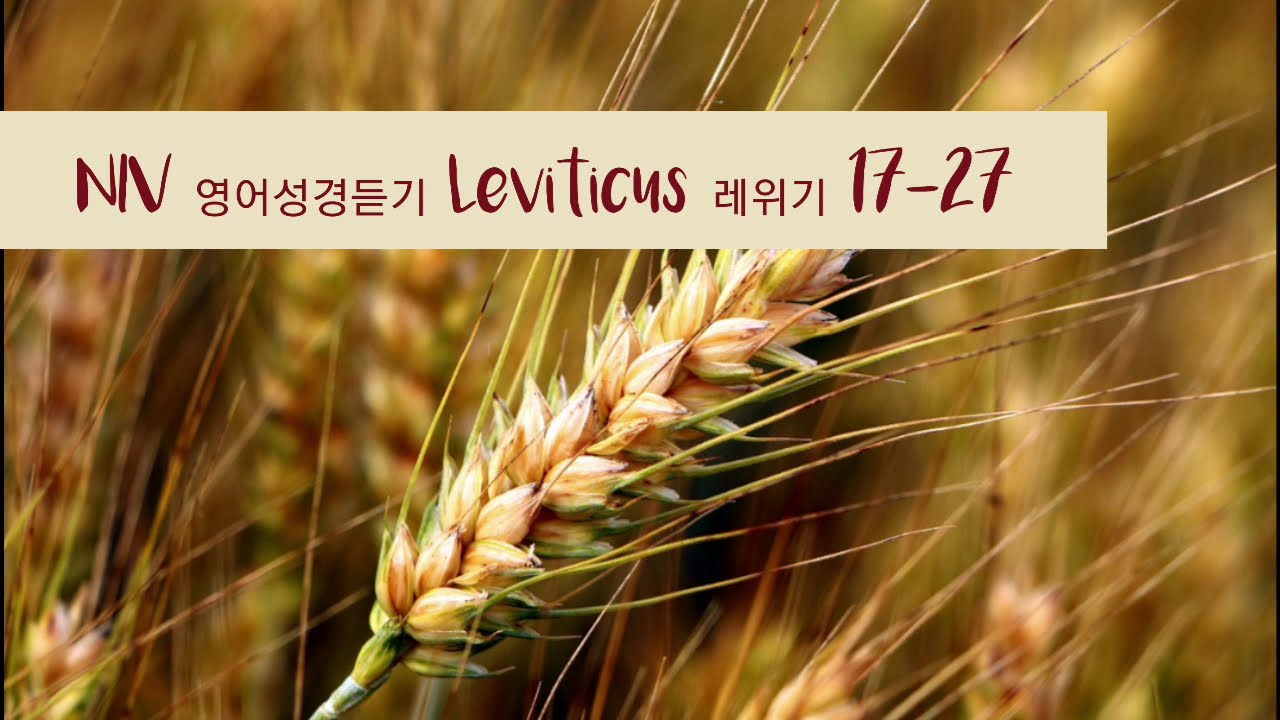 LEVITICUS 17-27: NIV Audio Bible(with text)