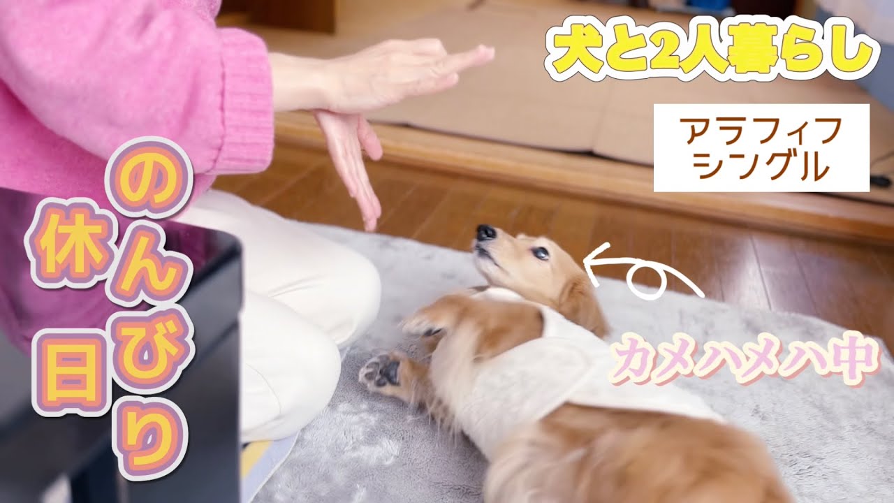 vlog14 のんびり休日あれこれ【アラフィフシングル】【犬と2人暮らし】