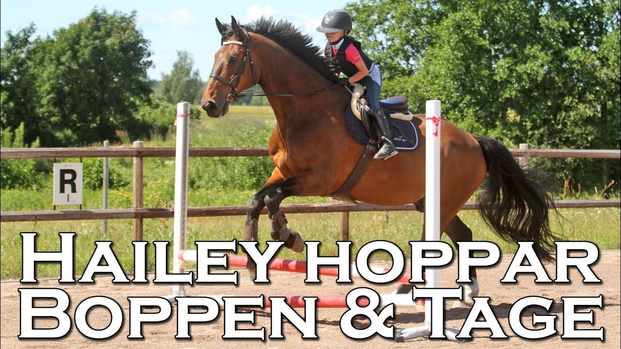 Hailey Reinhold (8 år) hoppar Boppen, 182 cm hög häst!