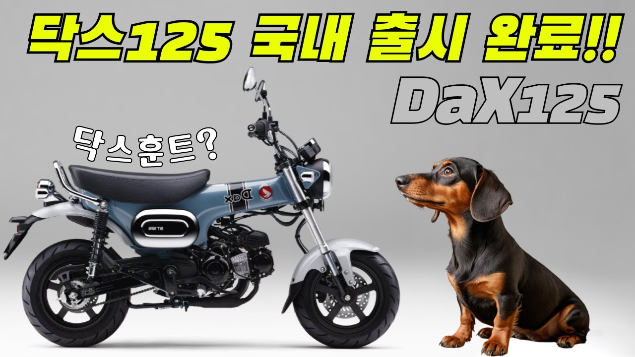 Давайте взглянем на Honda Dax125. (Предварительный обзор DaX125) #Dax125 #Dax125 #EntryBike #Clas...