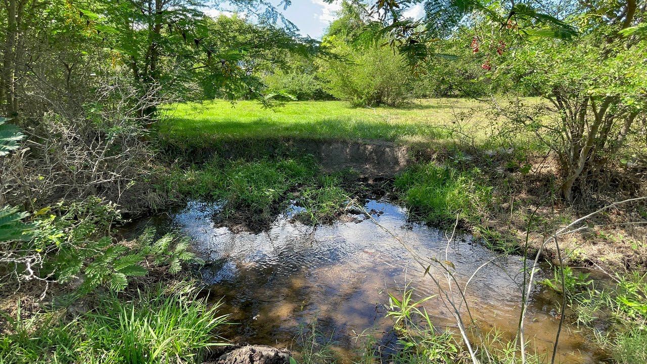 19 manzanas de Regadío en venta en San Vicente, Tecoluca