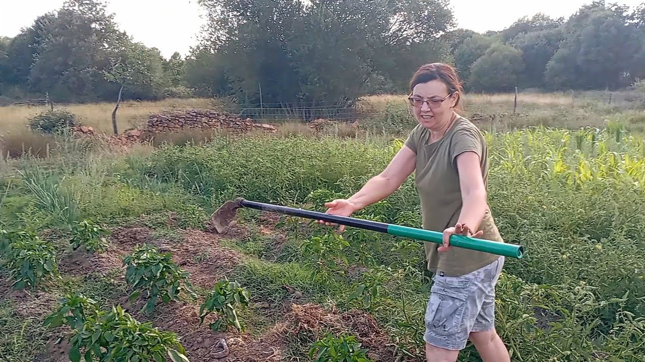 Voy a echar unos riegos con mi madre