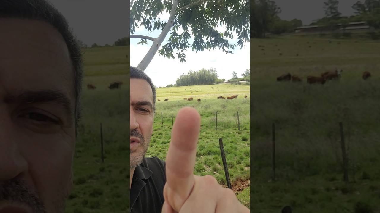 Ningu&eacute;m Te Fala ao Comprar Uma Ch&aacute;cara ou S&iacute;tio