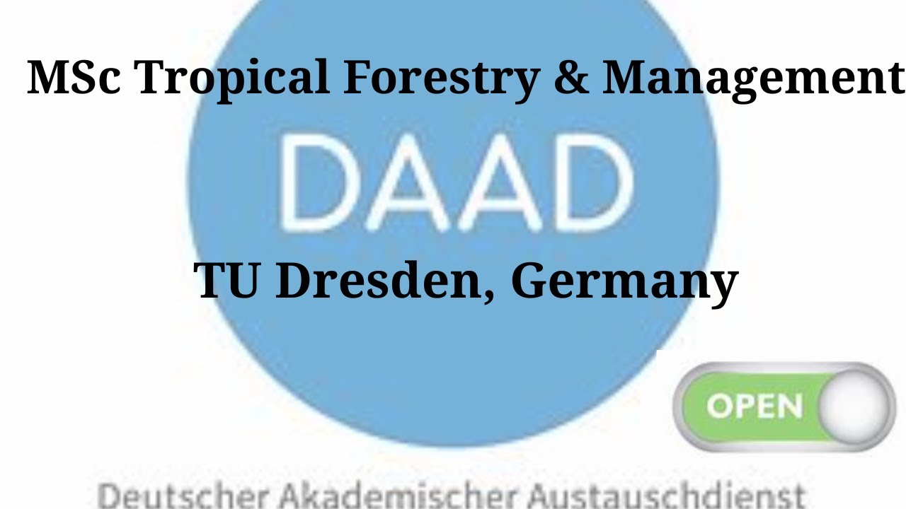 DAAD EPOS Scholarship Open Now: M.Sc. Tropical Forestry at TU Dresden (Apply by 31 Oct 2025)
