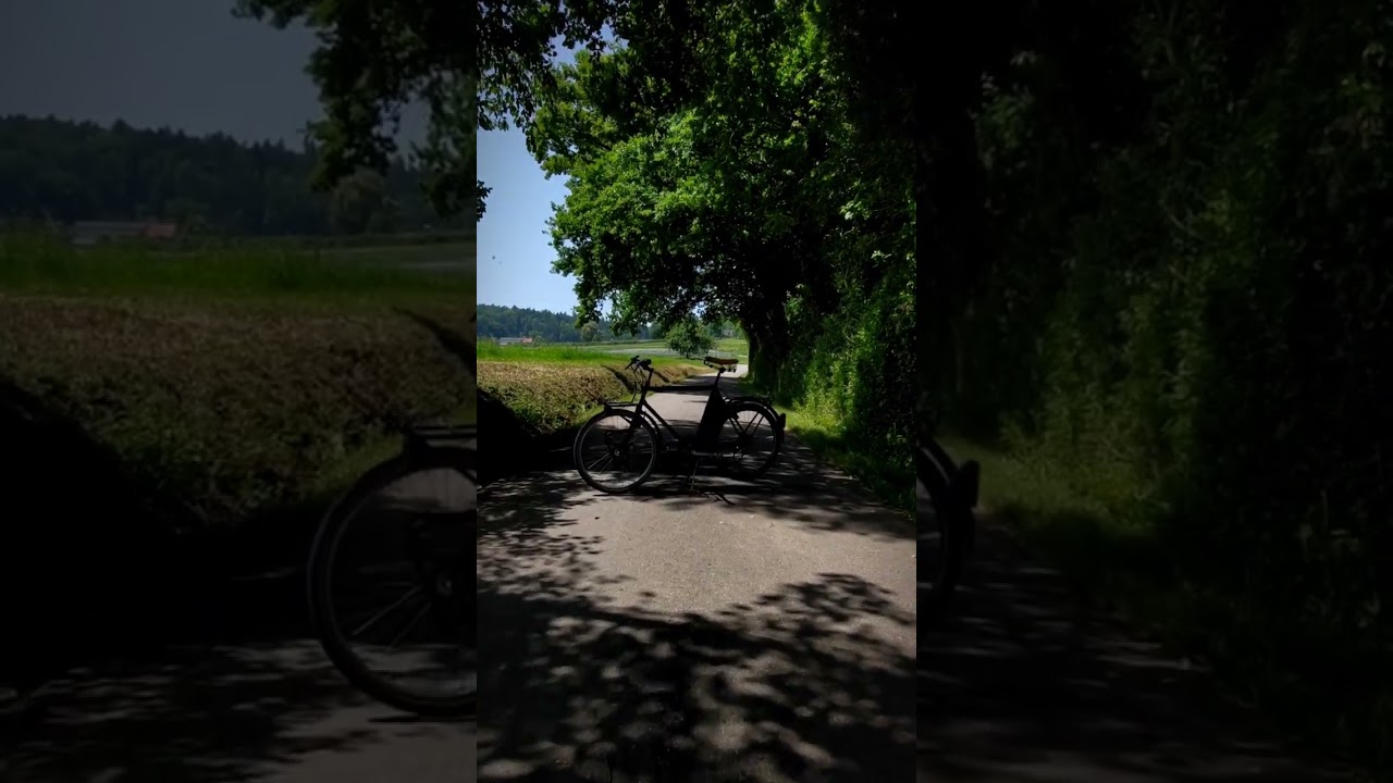 Armeefahrrad M093 AVA-INFO
