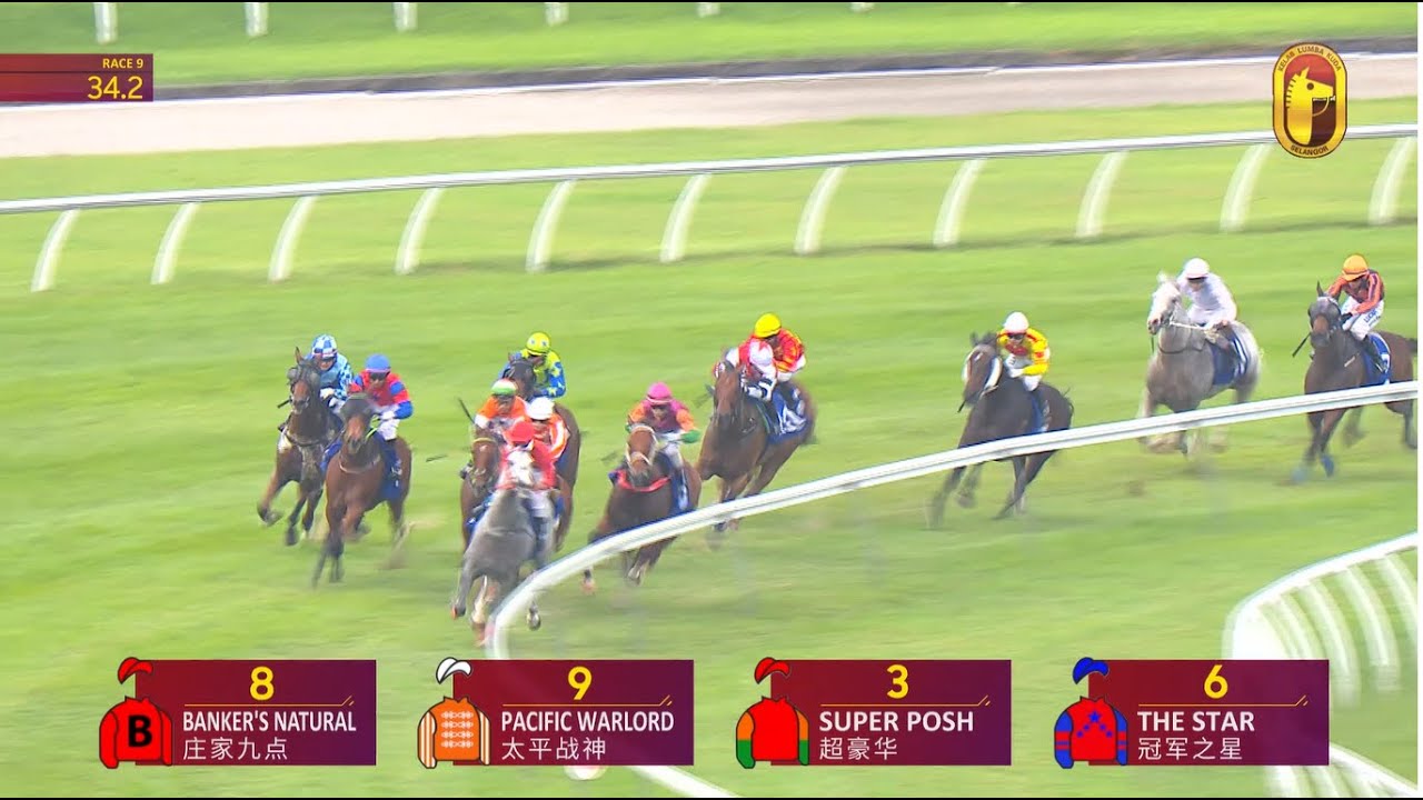 08 FEB 2026 RACE 9