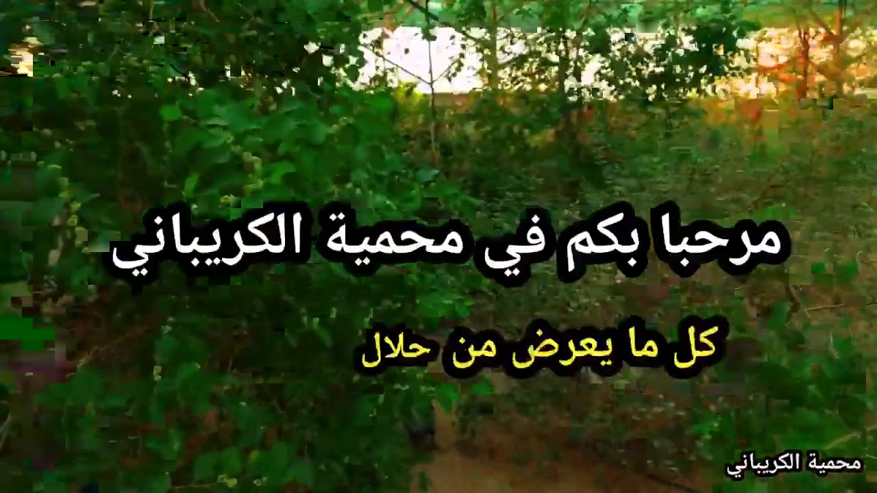 محمية الكريباني