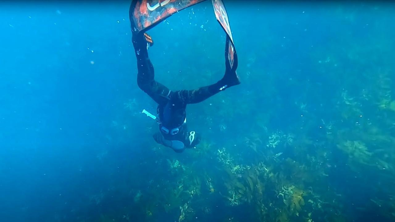 Spearfishing Great Barrier Island-Day trip. Butterfish, Crayfish, Packhorse Lobster and Cave Diving!