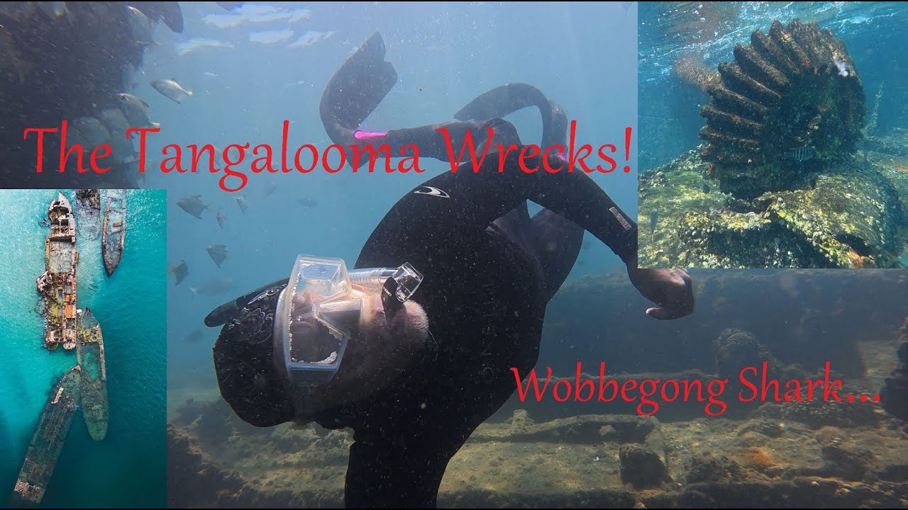 Ep 65 - Free-diving the wrecks off Moreton Island (Mulgumpin) , Brisbane, in 4K