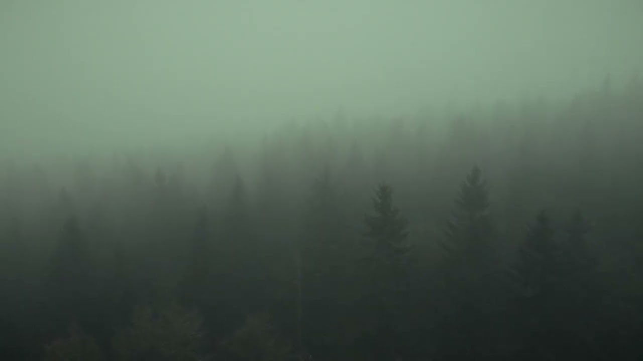 Clear Your Mind (1 Hour) [8D Audio]