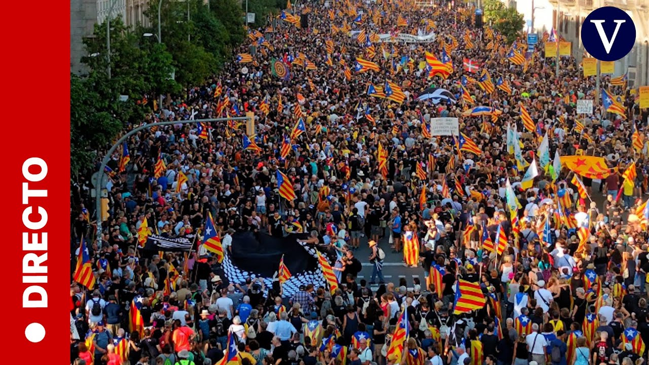 Manifestación independentista por la Diada de Catalunya