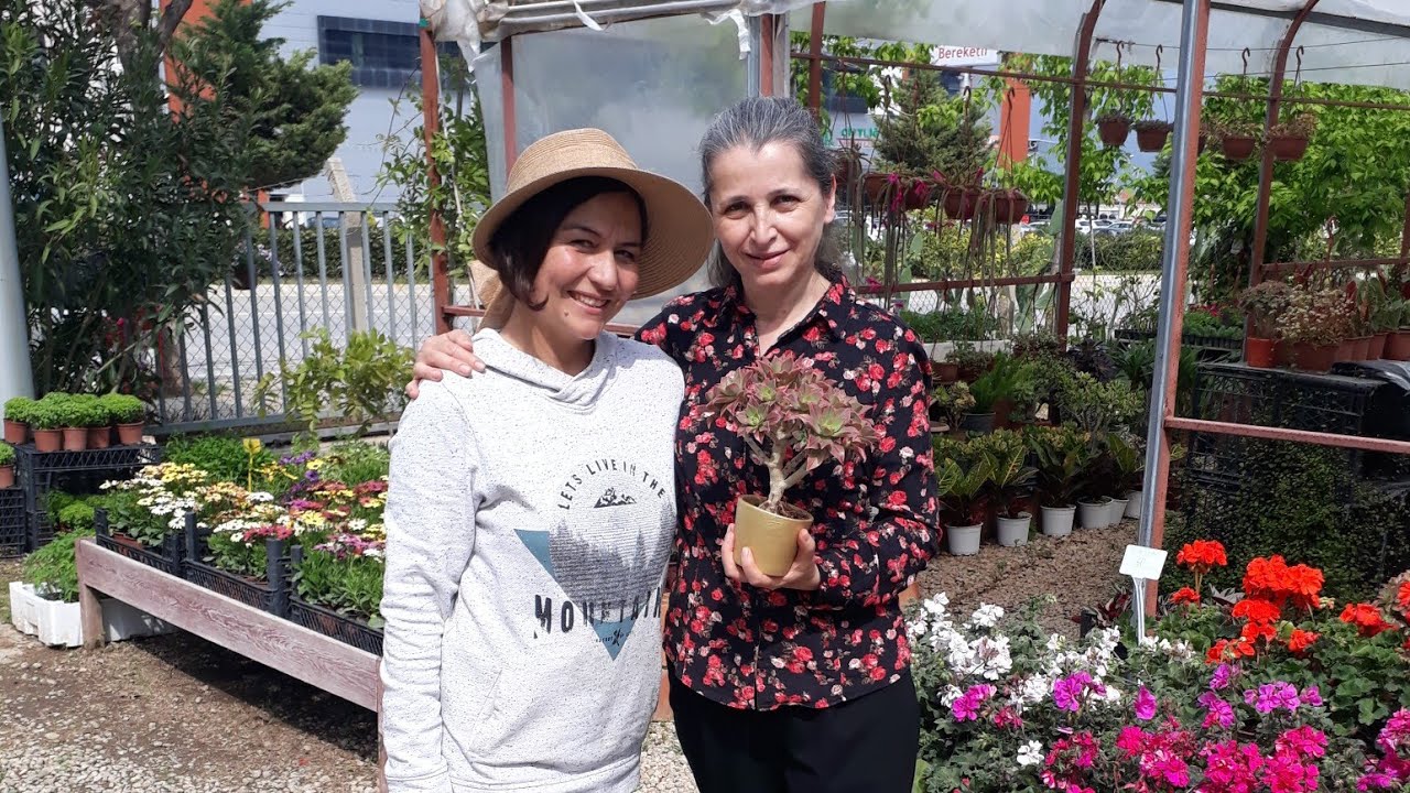 En güzel Botanik Bahçesi Denizli 