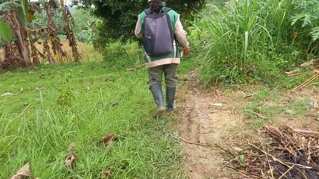 Penuh perjuangan !! Menuju titik KSA jagung