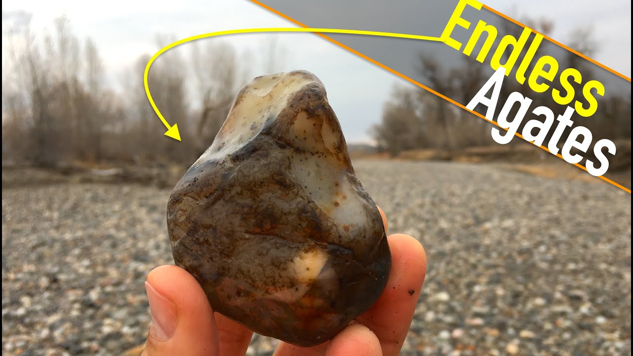 The Beach is COVERED in Gemstones | Finding Endless Agates and Petrified Wood | Montana Rockhounding