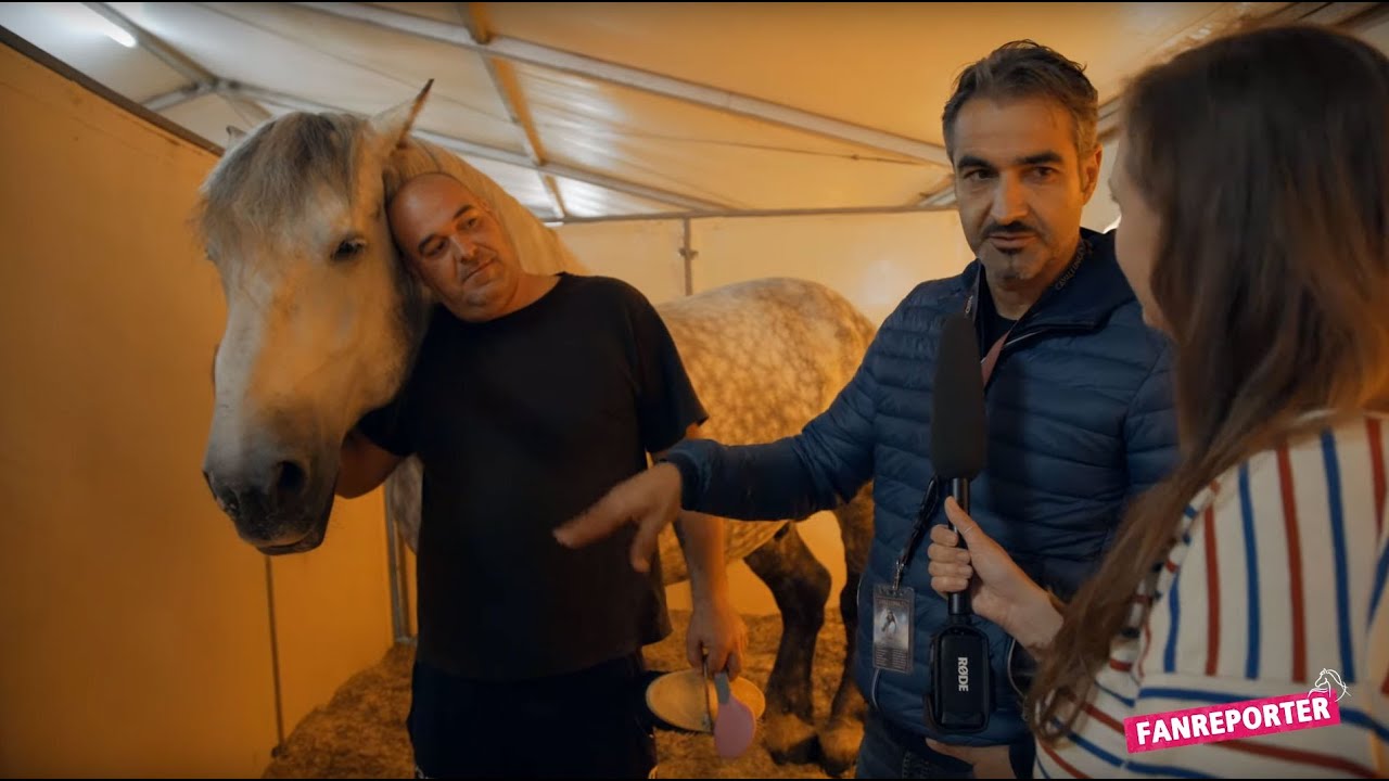 Percheron - die besondere Pferderasse | CAVALLUNA - Unsere Fanreporter finden es raus