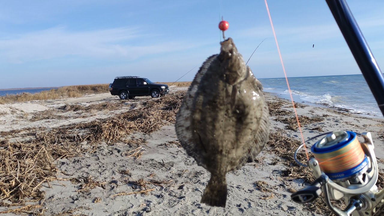 Рыбалка с берега на море в конце ноября. Глось и олень в кадре.