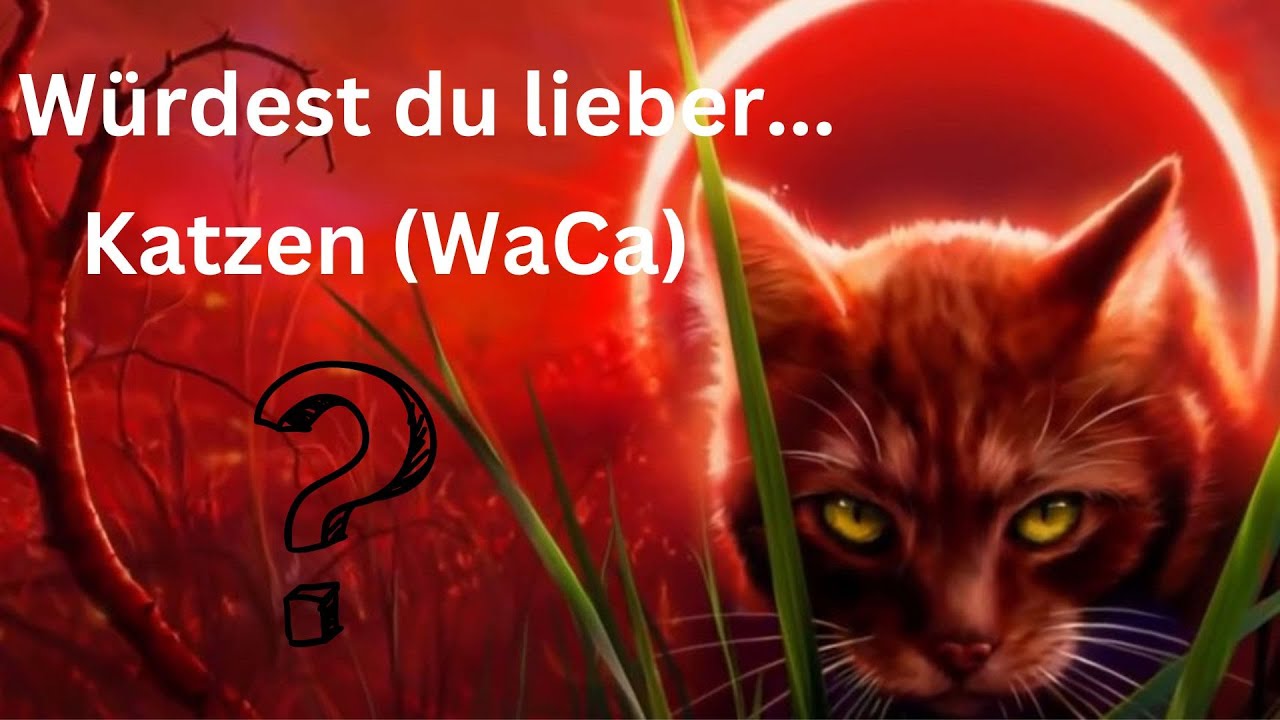 Würdest du lieber...?/Katzen (WaCa)