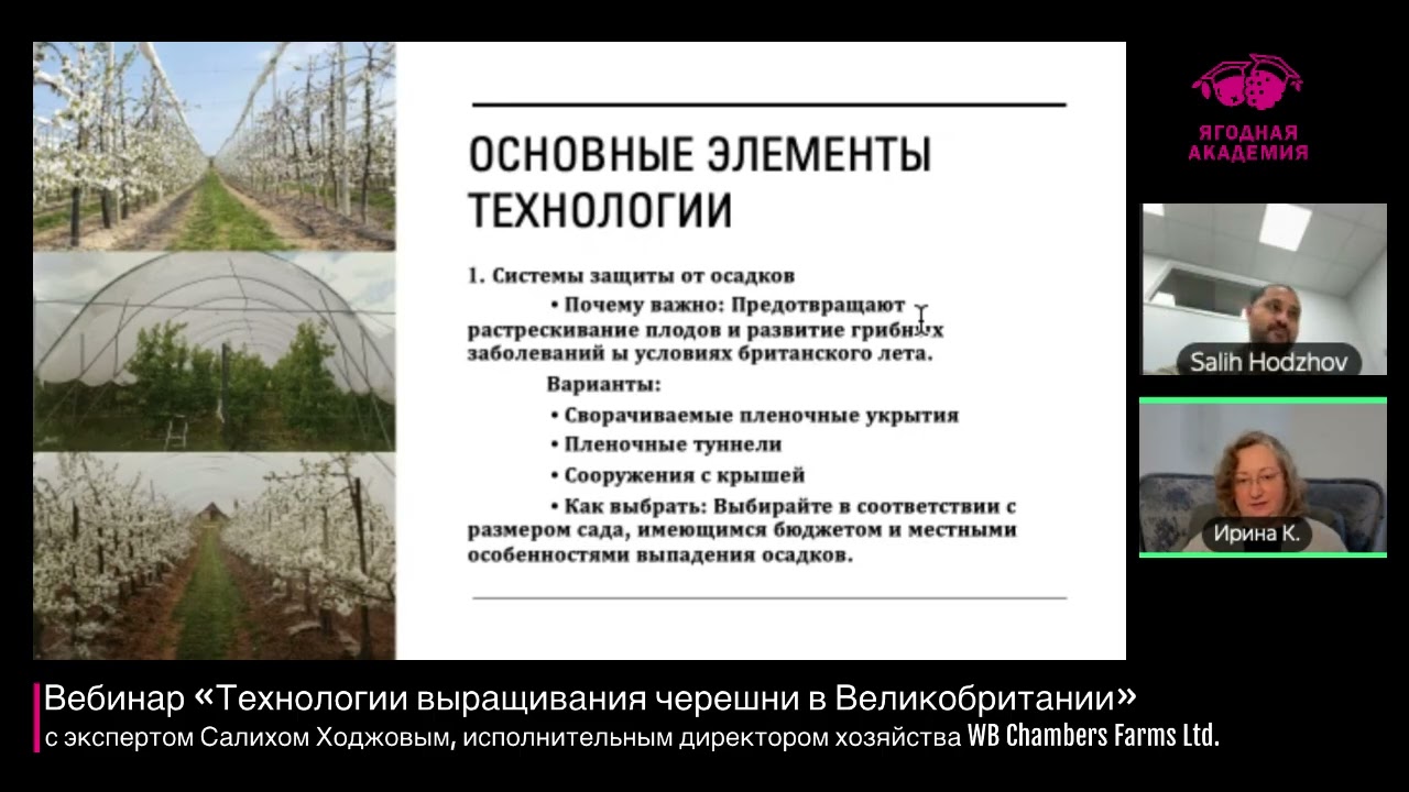Вебинар «Технологии выращивания черешни в Великобритании»