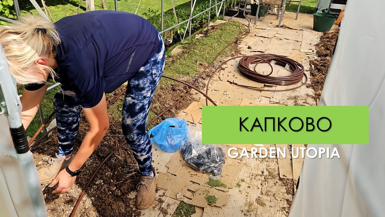 КАПКОВО напояване в ОРАНЖЕРИЯТА