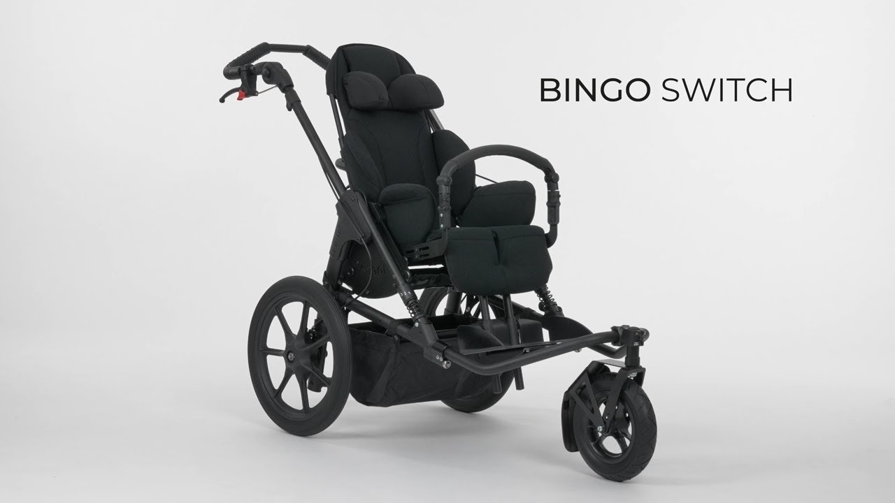 How to use BINGO SWITCH by HOGGI