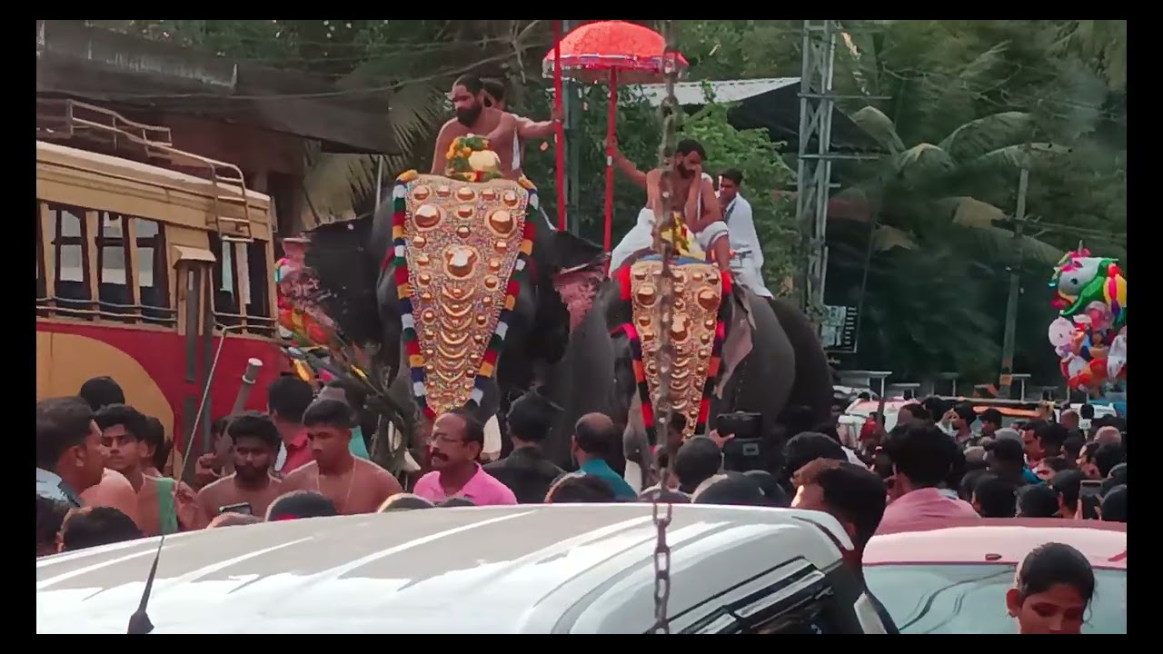 temple procession 2024-190524