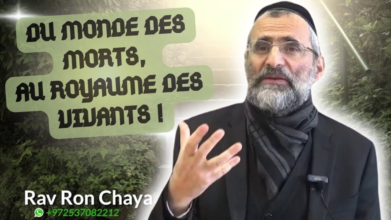 🥀 DU MONDE DES MORTS ... AU ROYAUME DES VIVANTS ...!? 🕯️ RAV RON CHAYA