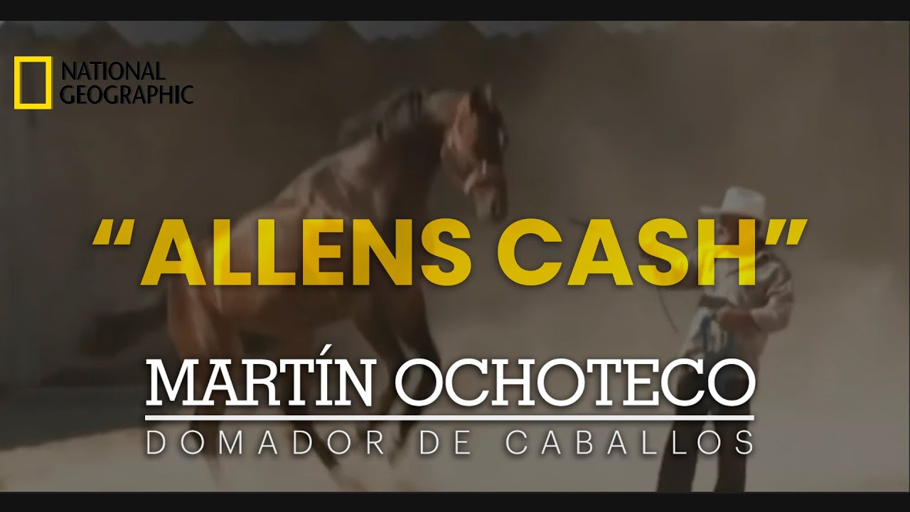 Capítulo completo - 