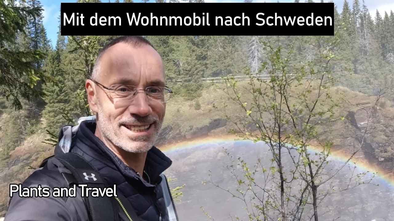 #1 Mit dem Wohnmobil nach Schweden. Tolle Stellplätze, Vildmarksvägen, Hällingsafallet und mehr