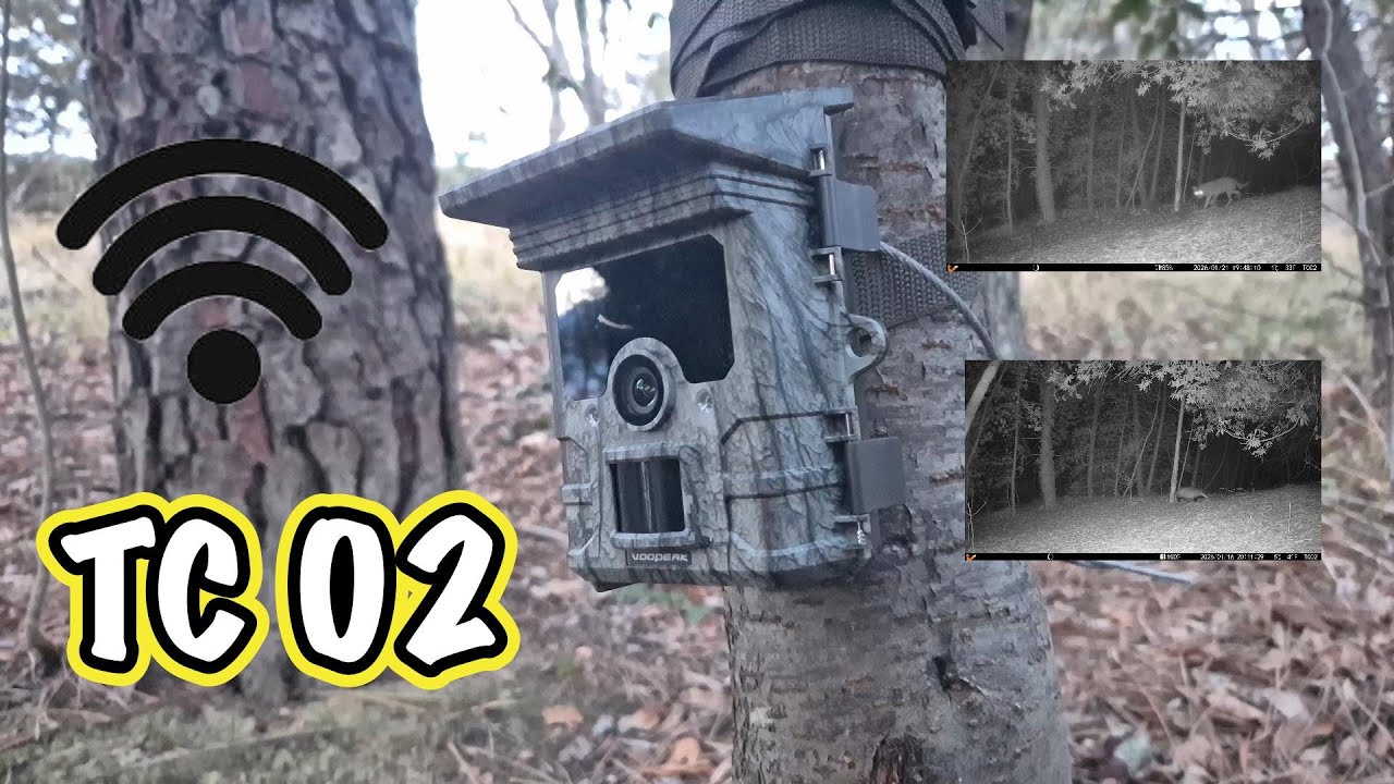 Fototrappola Solare Campark - Voopeak TC02 - Vediamo insieme come va veramente!