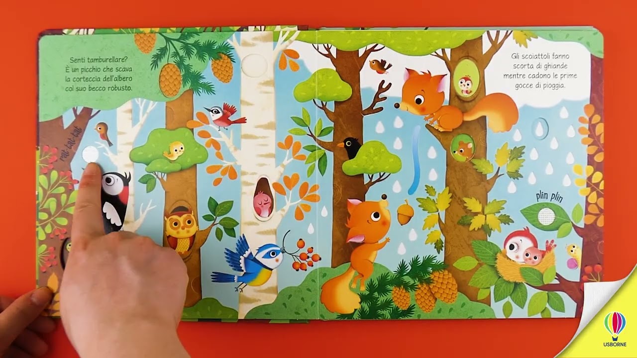 Il bosco - Libri tattili sonori