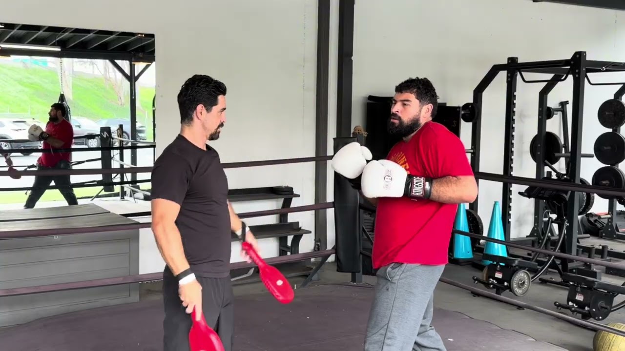 Boxing Punch Technique With My Fighter