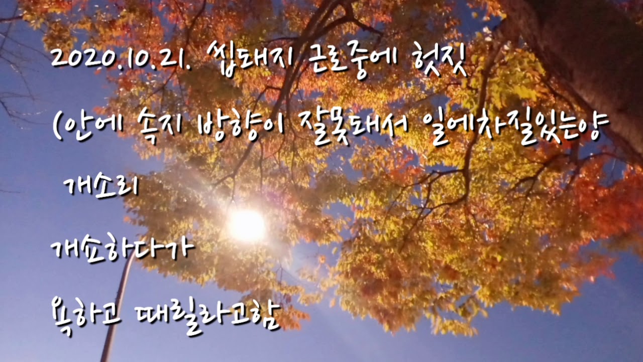 2020.10.21.근로중 씹돼지개쇼하다 욕질함