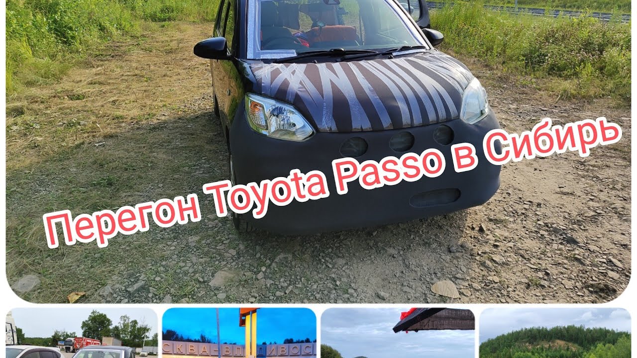 Toyota Passo. Перегон из Владивостока