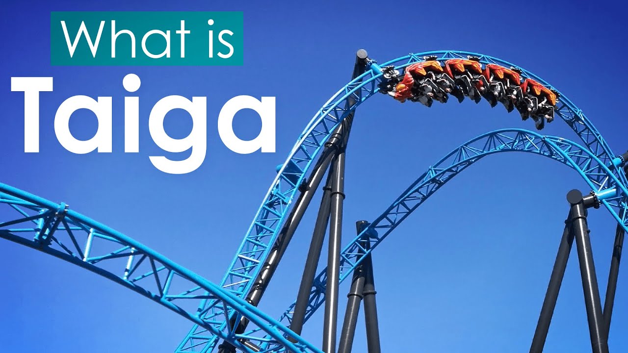 What is: Taiga - Finland's Best Roller Coaster