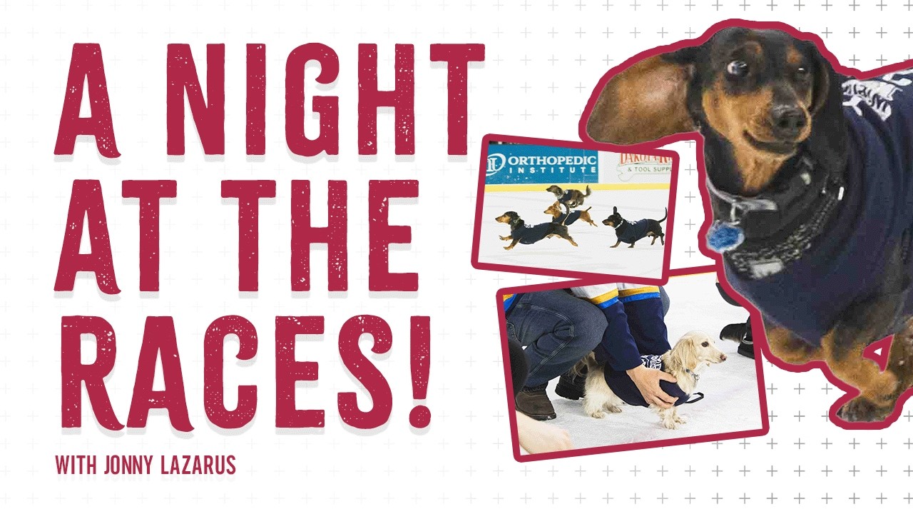 Return of the Wiener Dogs! 🐶