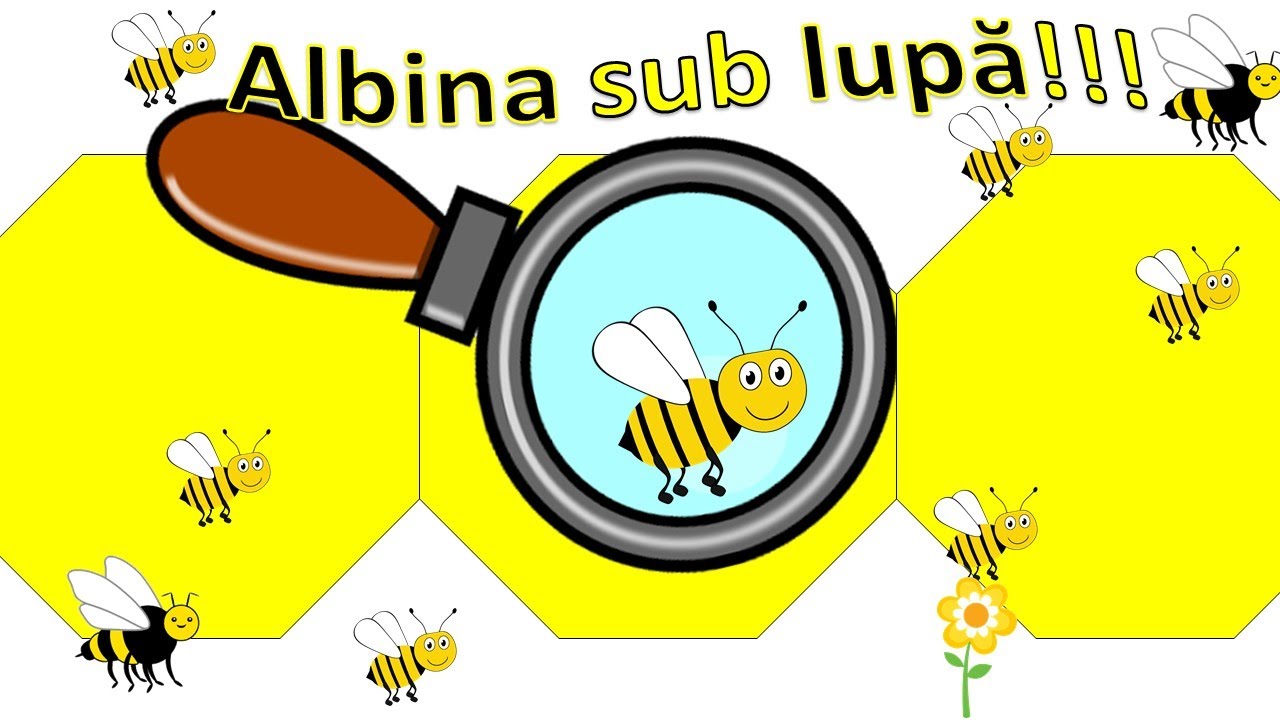 Albina sub lupă