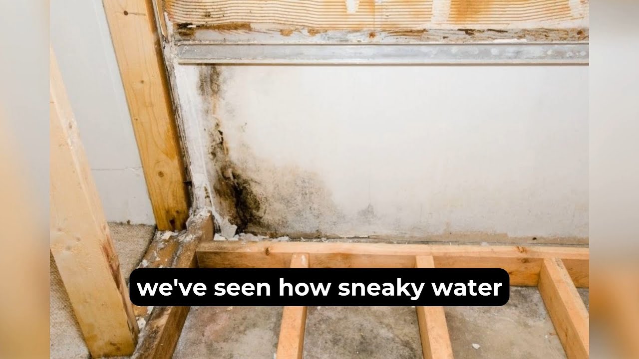 How to Spot Hidden Water Damage in Your Centralia Home Before It's Too Late