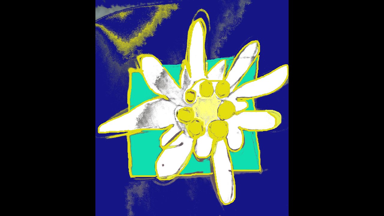 FLOR DE NIEU (SCRETCH BOOK)