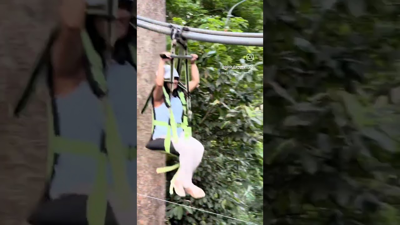 zipline roller coaster  in Munnar