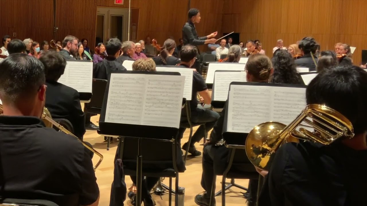 Symphony No. 1 