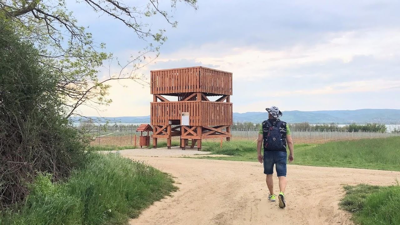 Hamvas Béla borút és kilátó - Római-völgy - Balatonkeresztúr