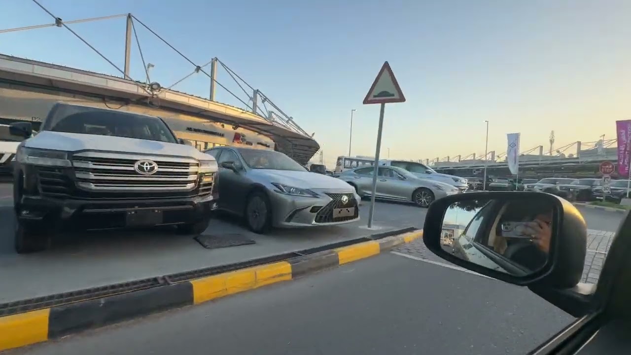 Auto market - Ras al Khor (Dubai)