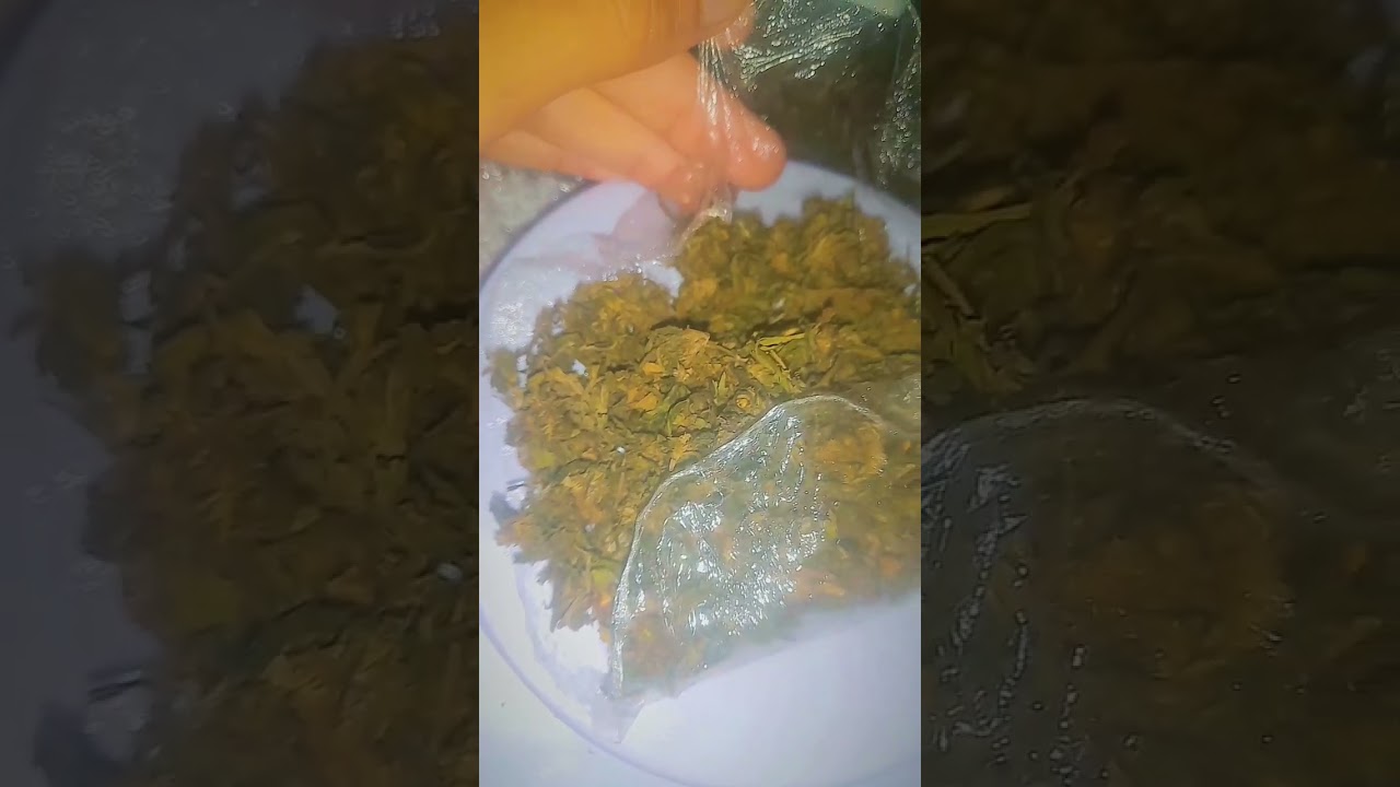 Lavando e secando Prensado Part.2