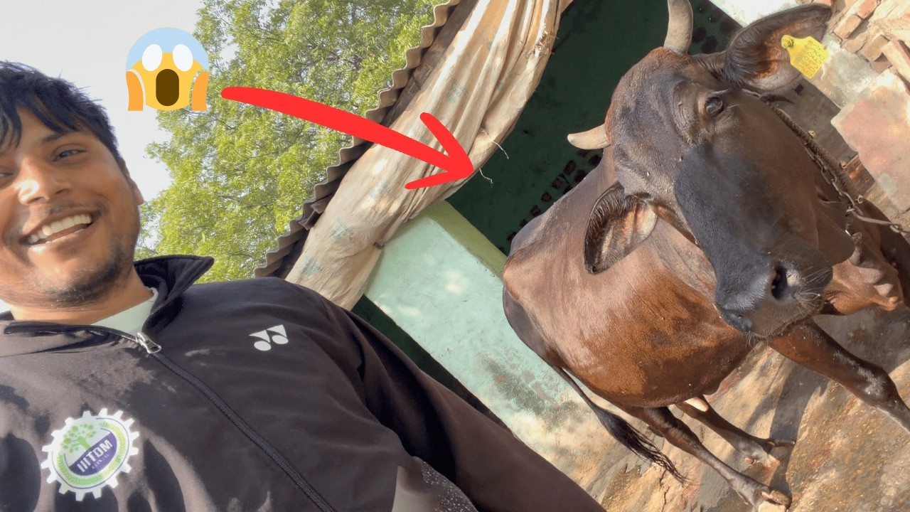 बाल्टी भरकर दूध देती है हमारी गाय 😂 funny vlog