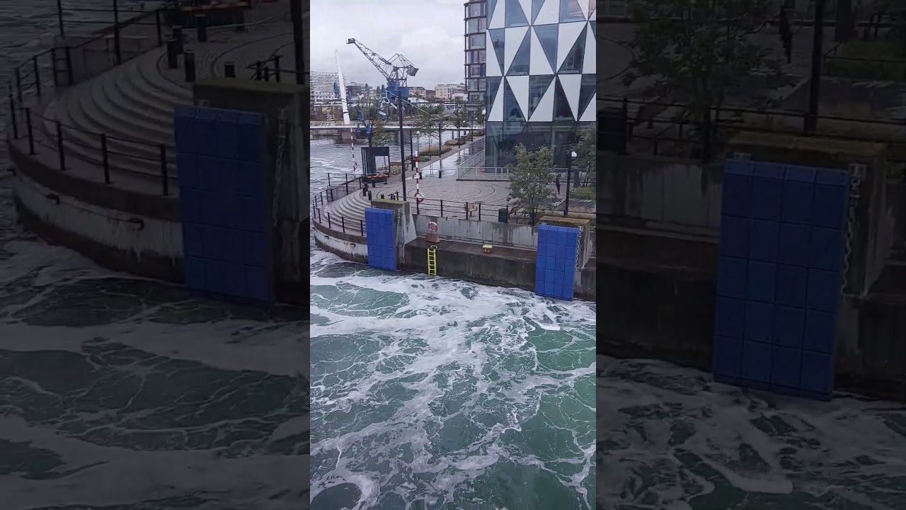 Way to Copenhagen from Sweden by ferry #denmark #travel #europeantravel #shortsvideo #sweden