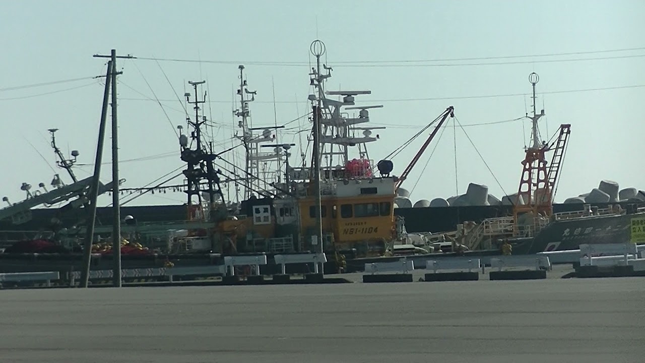11月25日　新港の近海巻網船群(A group of purse seine vessels near the new port)
