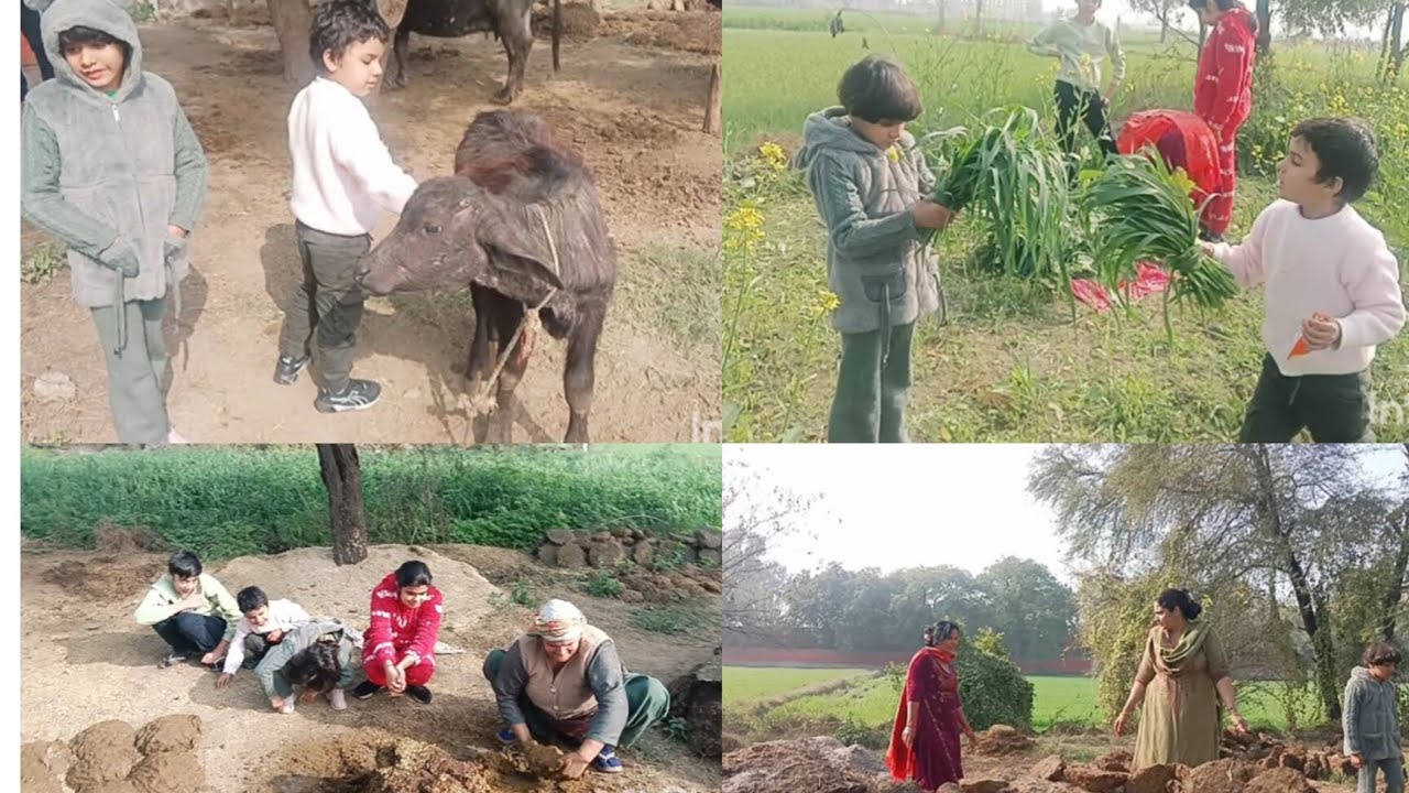 हम सब ने मिलके किए बहुत सारे काम 