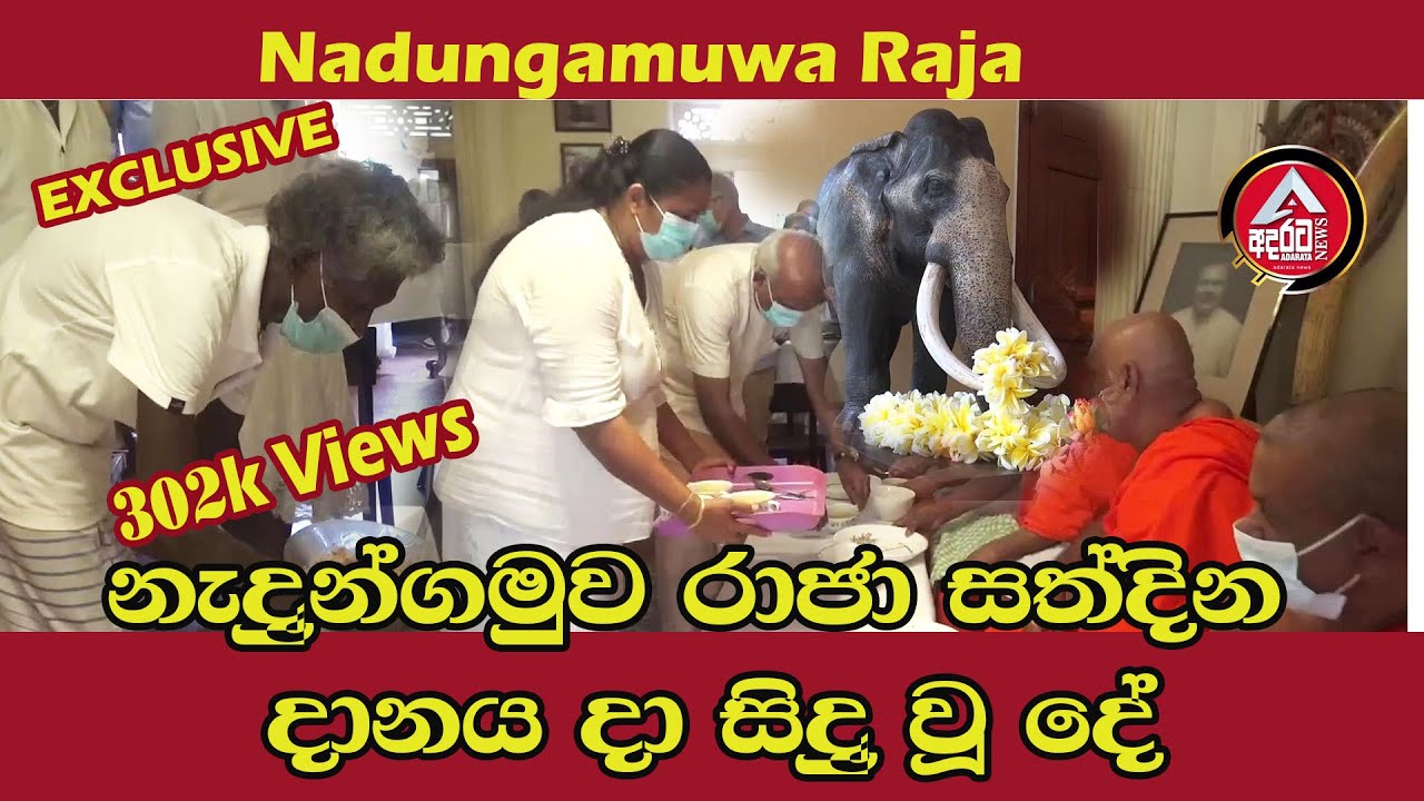 Nadungamuwa Raja/නැදුන්ගමුව රාජා සත්දින දානමය පිංකම දා සිදුවූ දේ/ADARATA NEWS